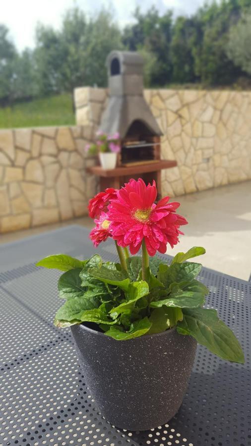 Apartmani "Sandro" Gonar Rab Town Extérieur photo